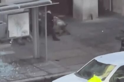 White house shooting