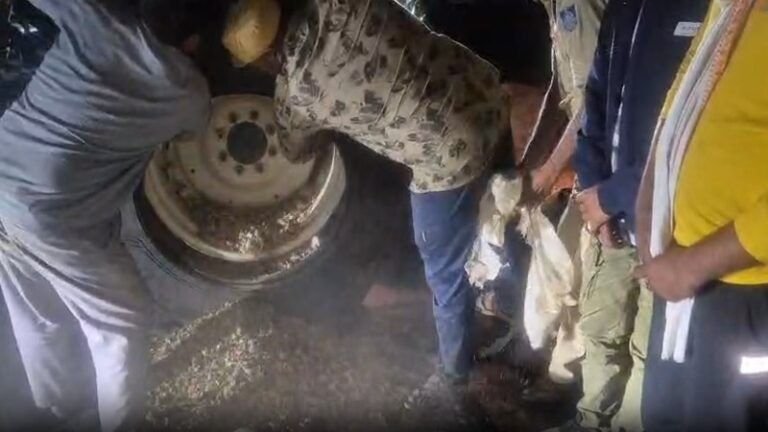 Narayangarh police karravaee