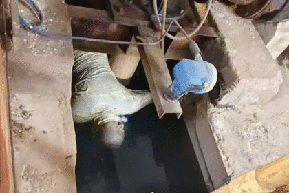 Commotion in the fort