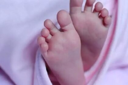 Newborn baby in the forest