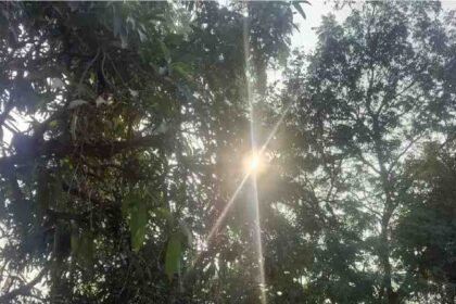 Raipur Weather Update