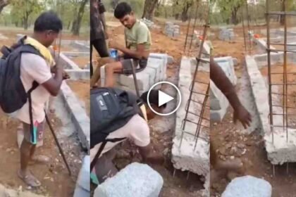 CG Education Department Negligence