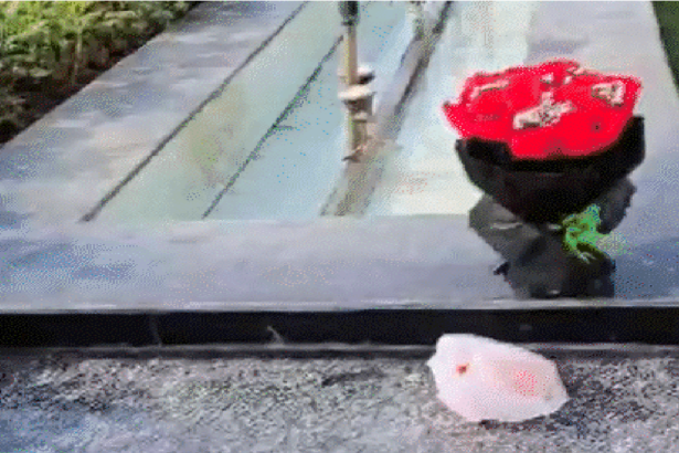 Assembly Gate No 2 Incident