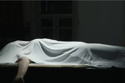 Chhattisgarh Domestic Violence Case